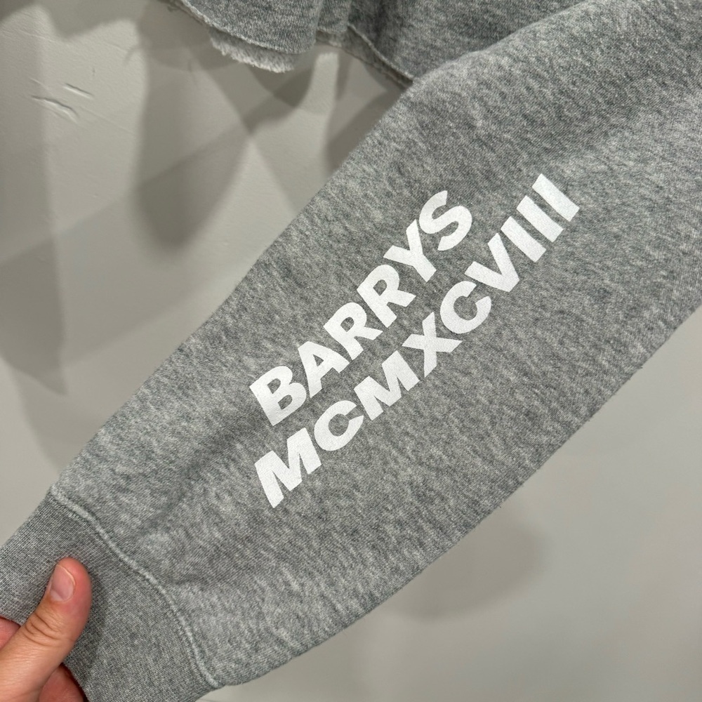 Nike Gray Long Sleeve Crop Sweatshirt Medium Athleisure *sleeve logo* - Picture 3 of 6